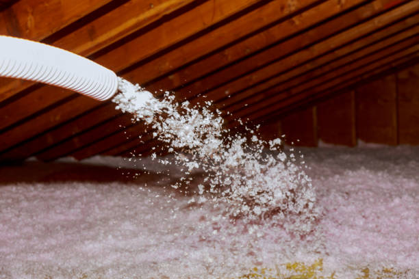 Best Blown-in Insulation in Rockledge, FL
